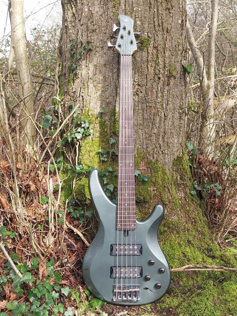 Yamaha TRBX305 5 String Bass for sale