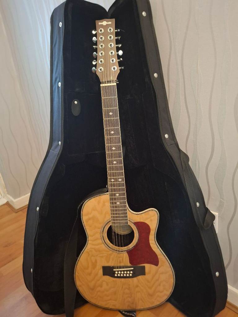 12 string guitar