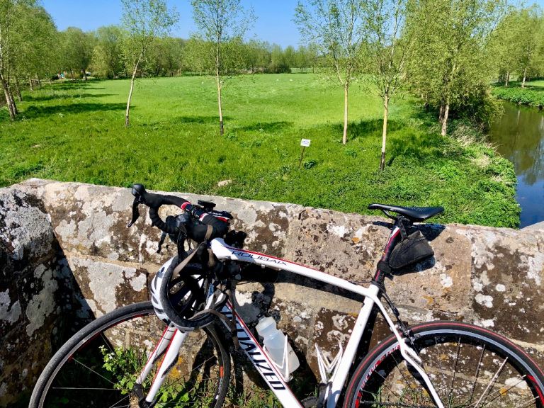 For Sale Specialized Roubaix Elite Road Bike