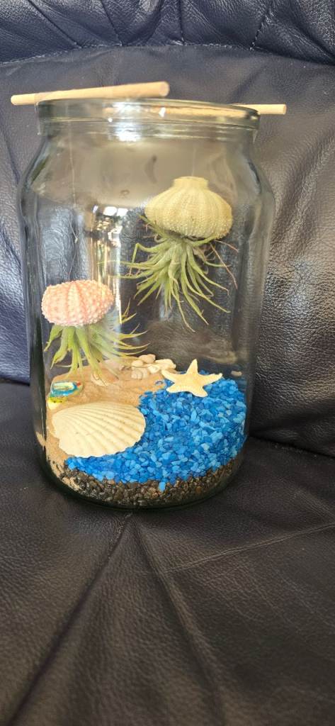 "Jellyfish" Airplant Open Terrarium