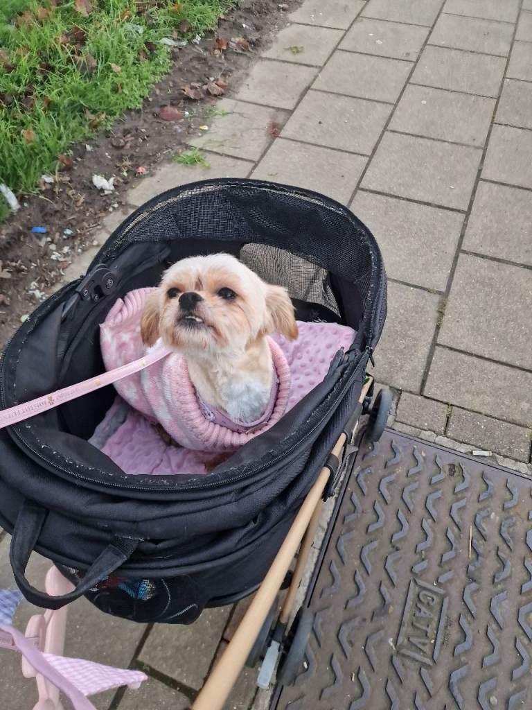 Cleo if the add is up shes still available 