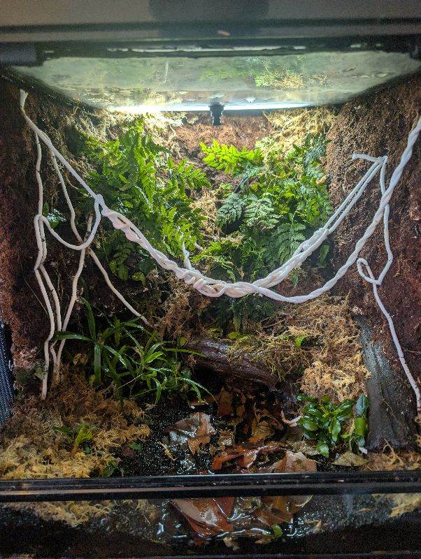 Habitat Full enclosure 45x45x45 OTO