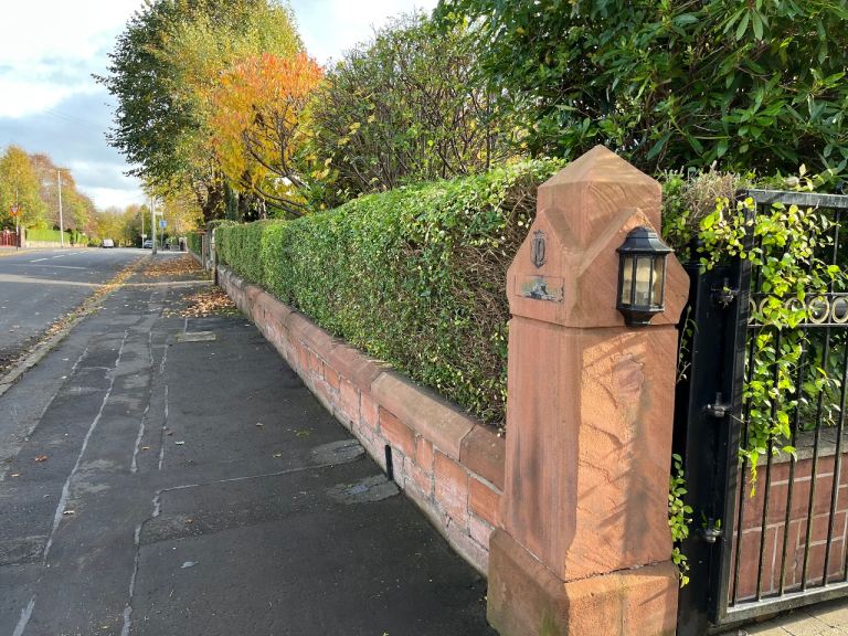 Gardening and Painting services. 