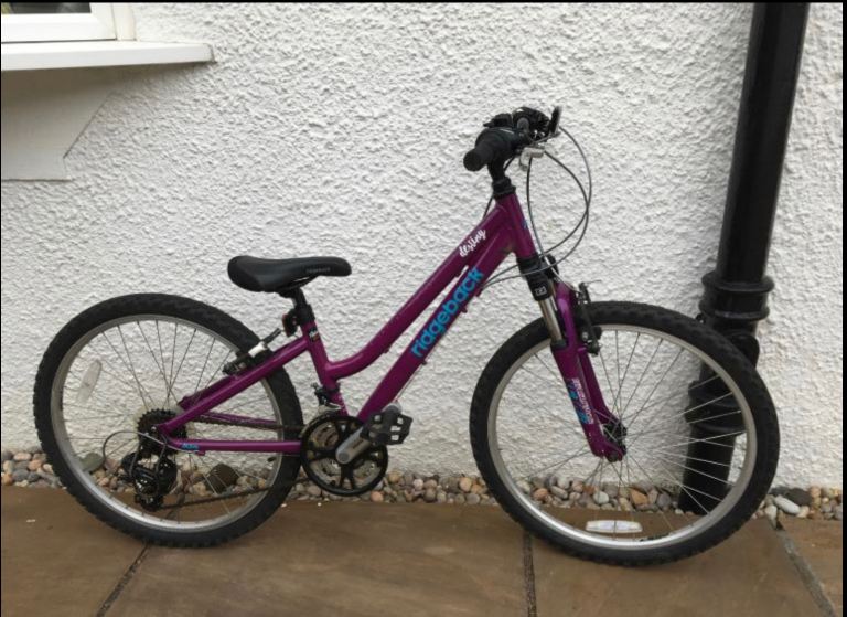 Ridgeback Destiny 24” wheel Purple 