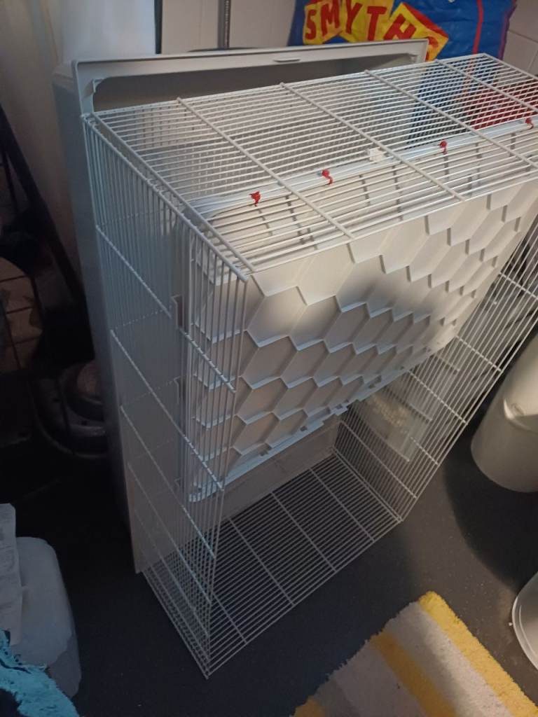 Indoor cage suit for rabbits or guinea-pigs 