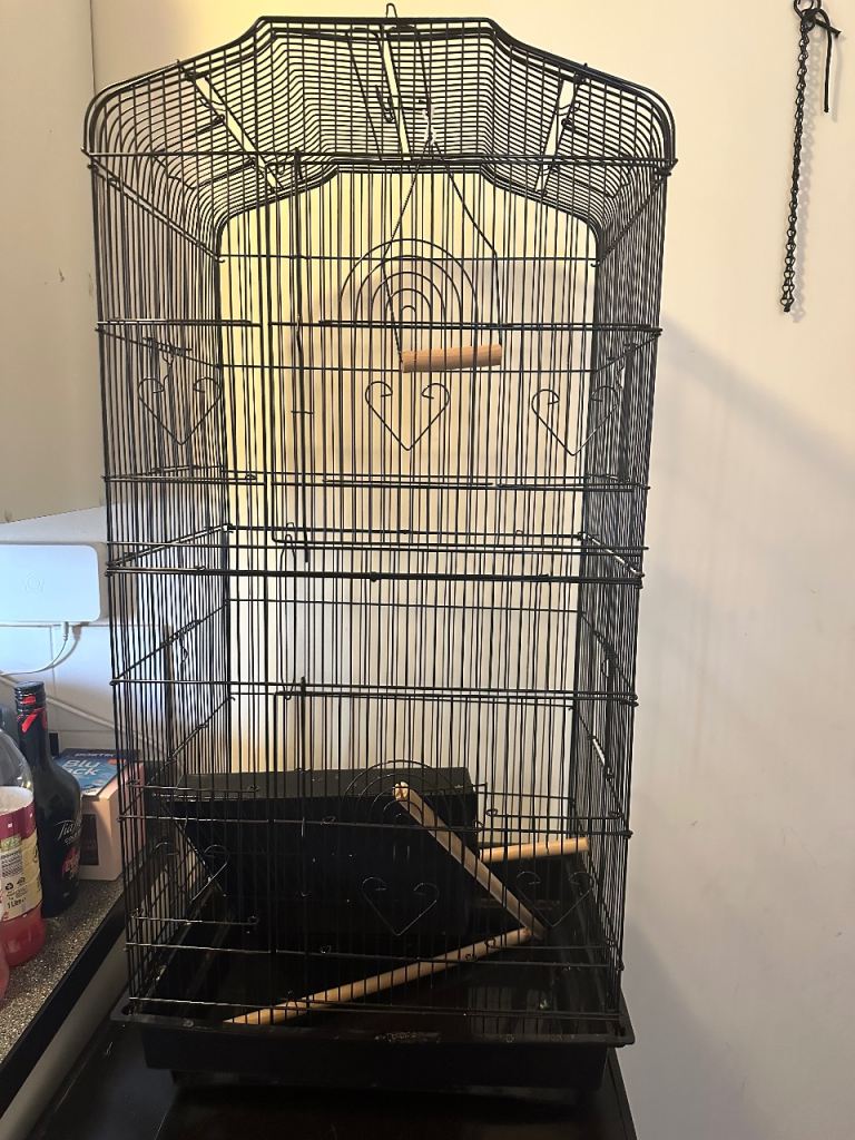 Big bird cage