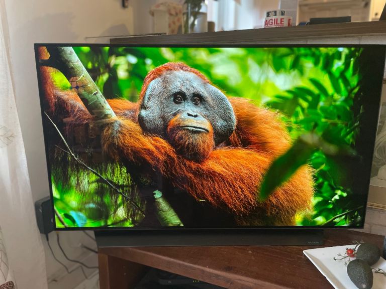 LG OLED48C1 48” OLED Smart TV – Excellent Condition – Under Warranty