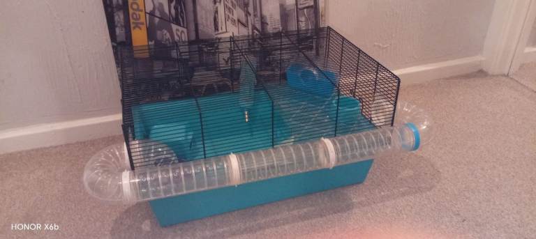 Hamster Cage 