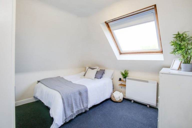 🎵 Music Lover's Shared Room - Sound Equipment Welcome, Creative Housemates, Fun Chiswick🎸
