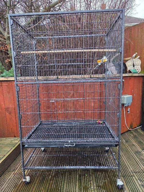 Large bird cage