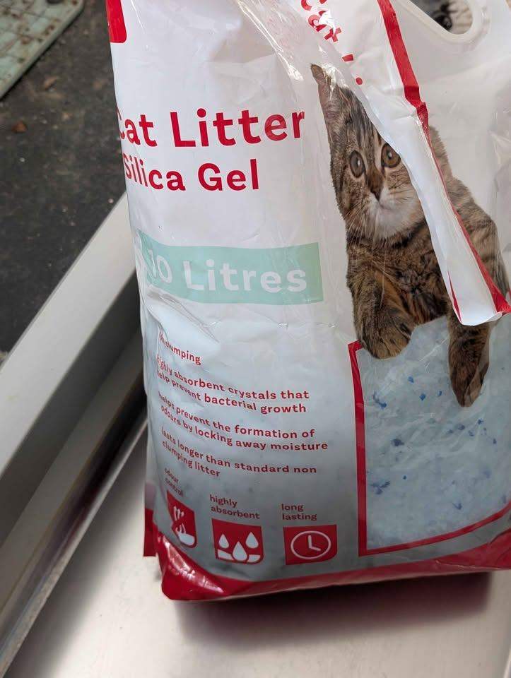 automatic cat litter tray