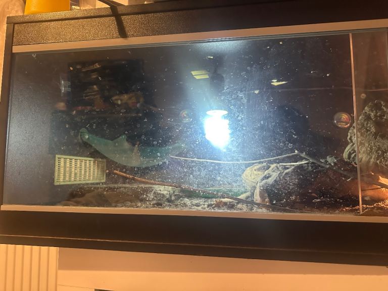 Reptile vivarium READ DESCRIPTION