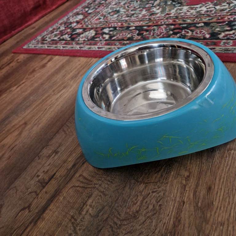 Free dog food bowl 