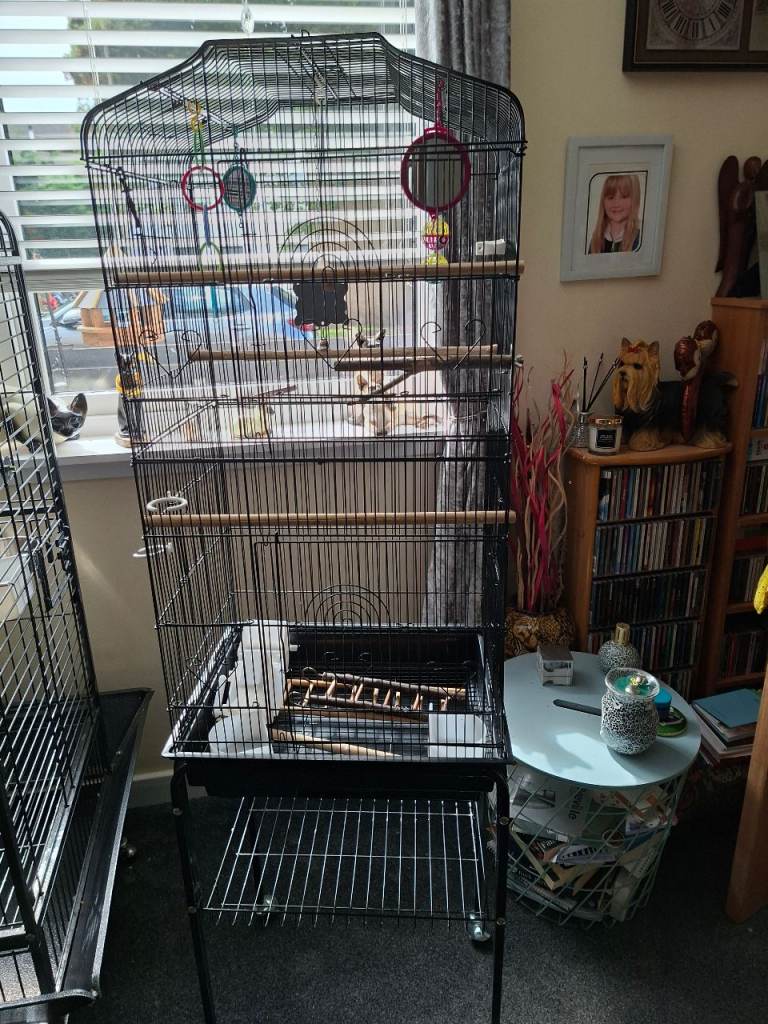 Budgie cage and stand