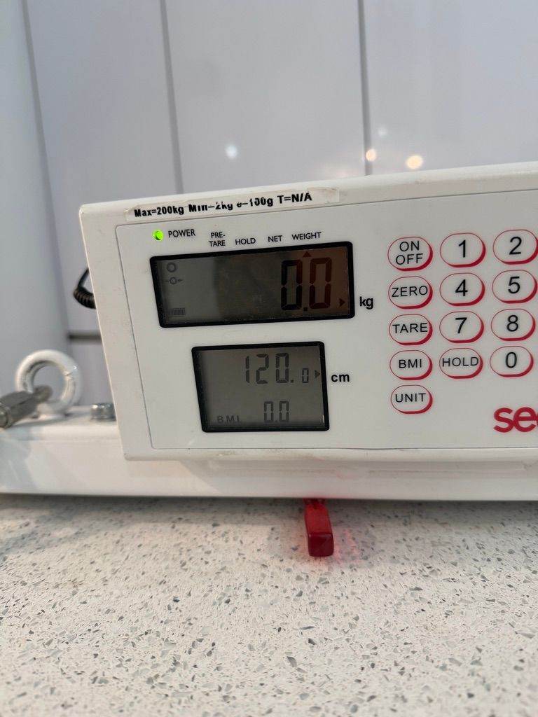 Seca Digital Hoist Patient Weigher/Charger/200kg Suspended Hoist/Rechargeable Batts