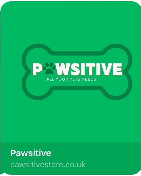 Dogs accessories. 