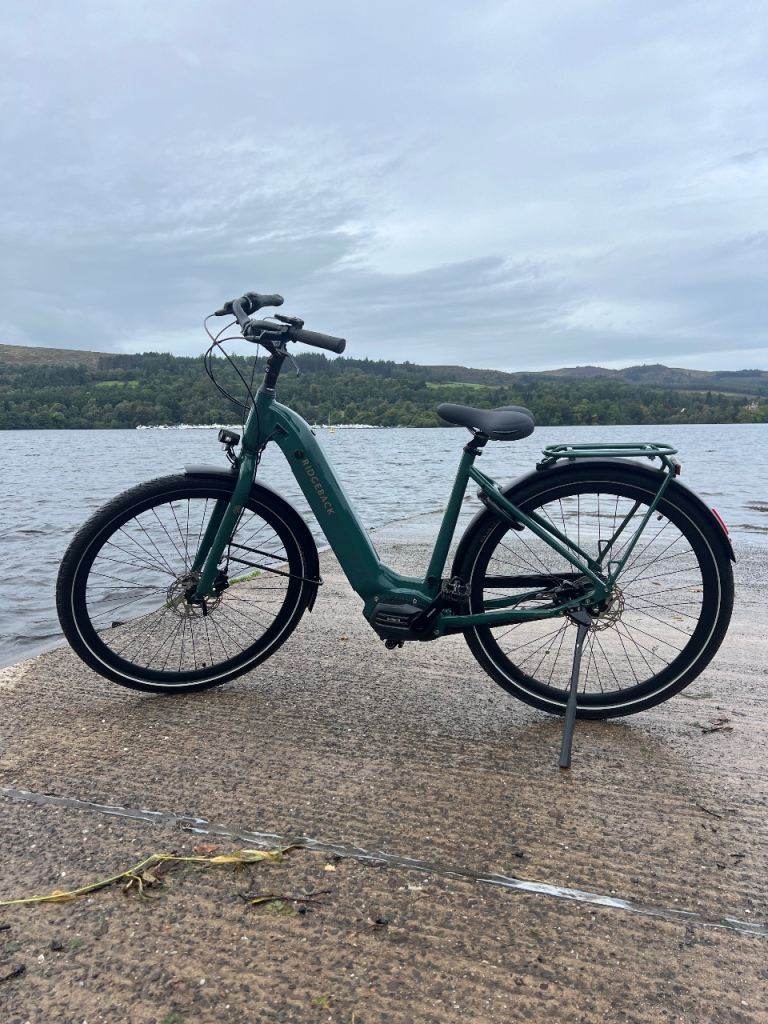 image for Ridgeback electron 500wh £890