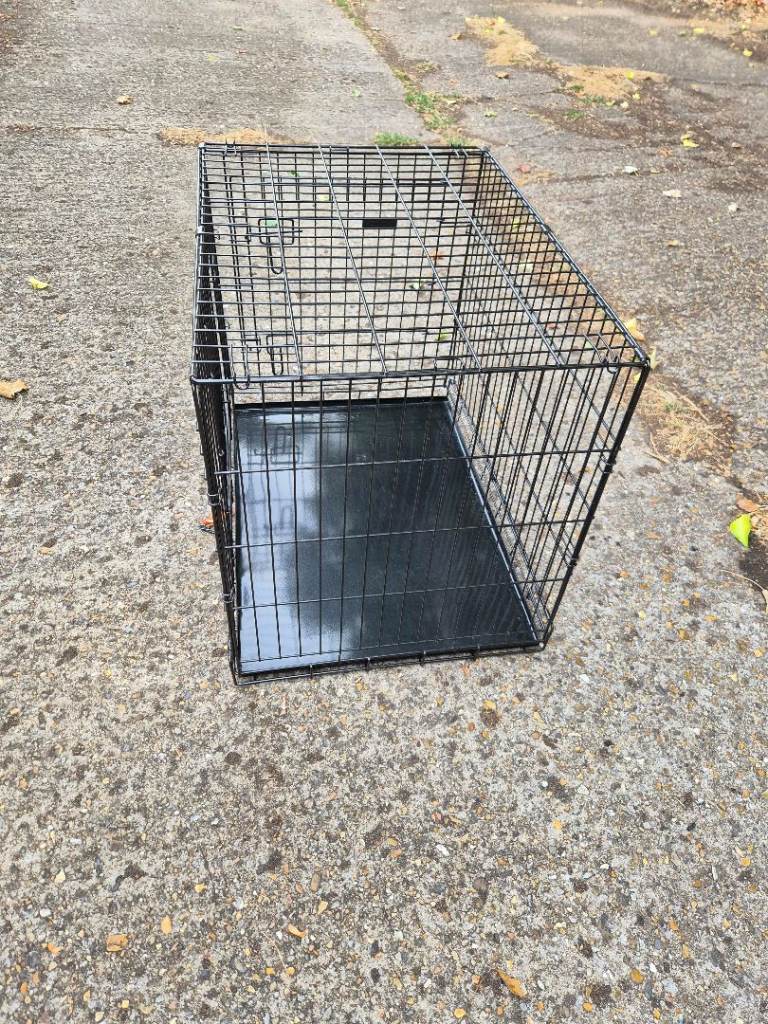 Ellie bo 30 inch folding dog crate