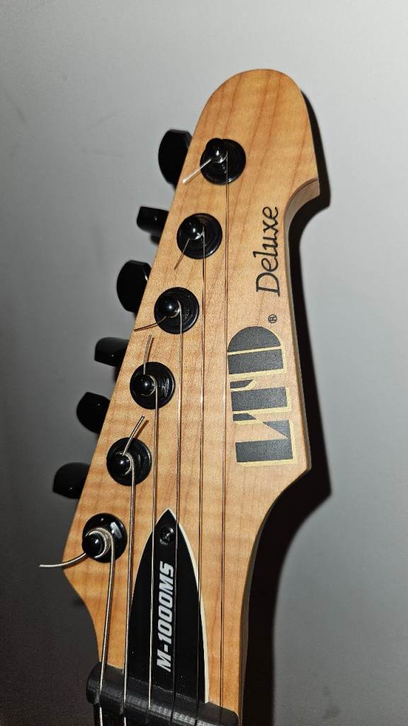 ESP LTD Deluxe MS1000 Electric Guitar with hardcase