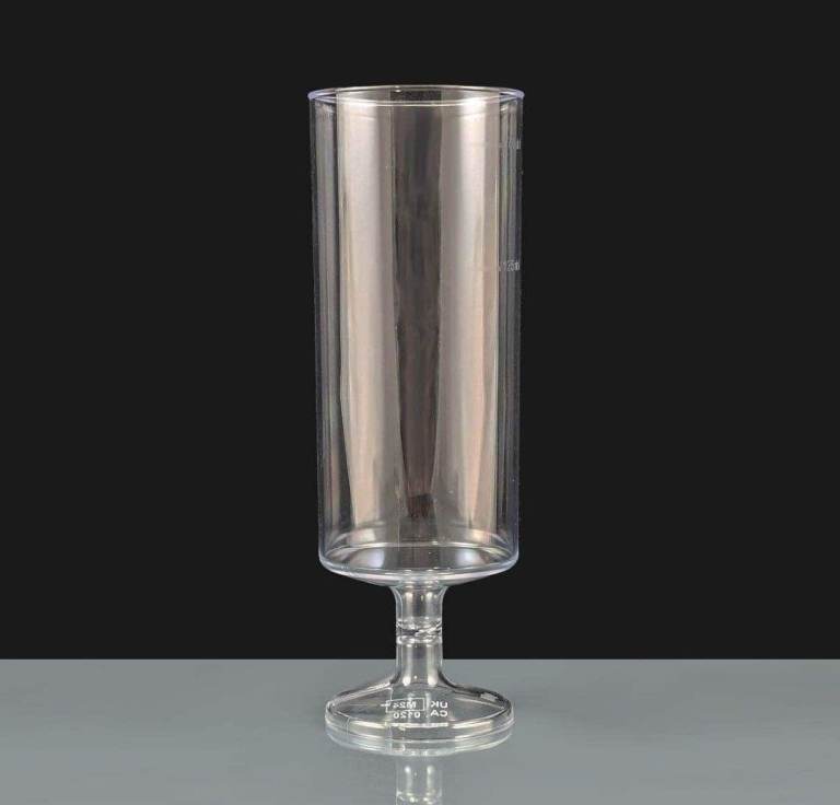 Plastic Champagne glasses
