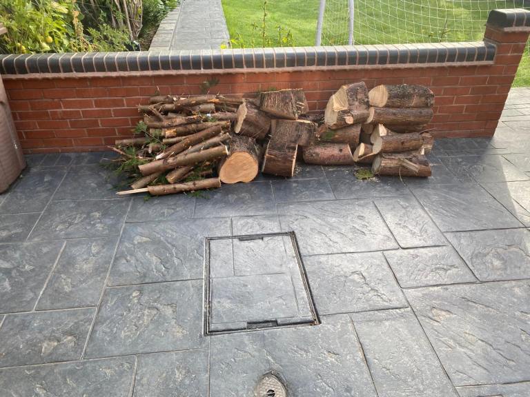 Free logs 