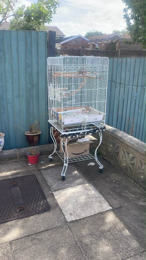 Cage 