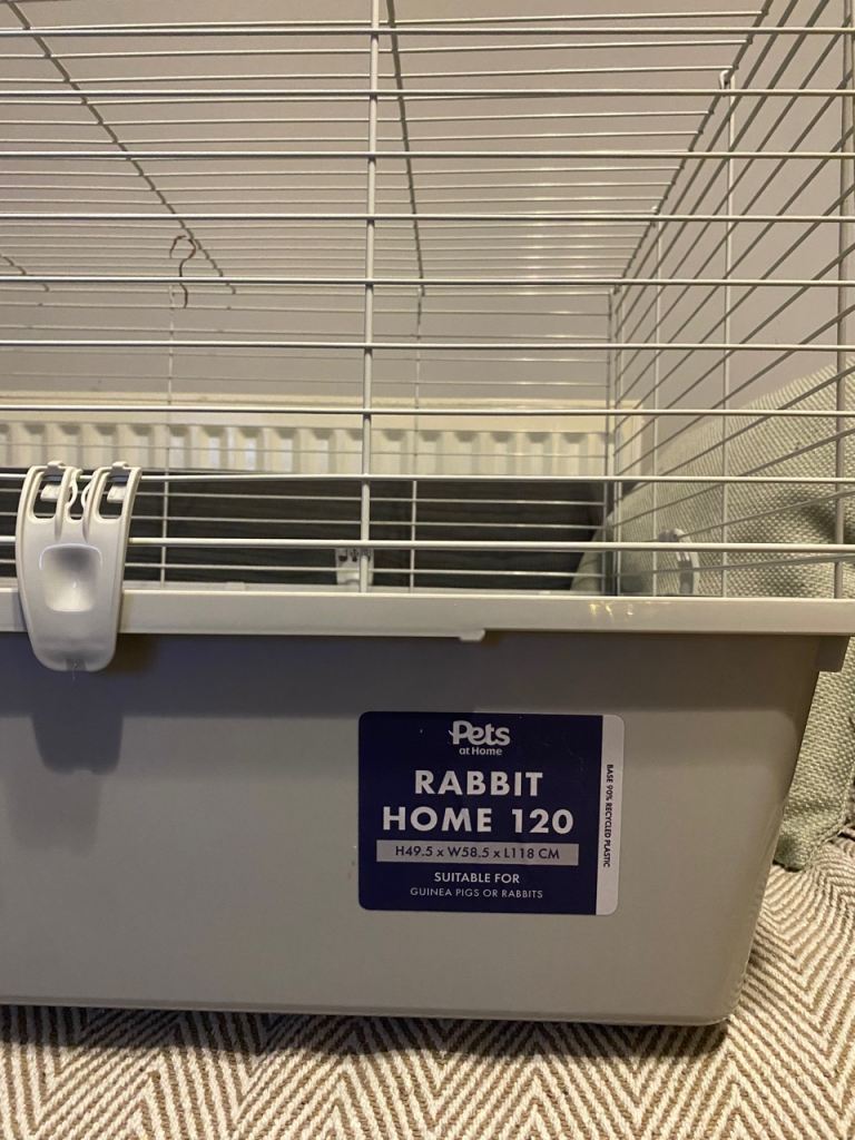 Rabbit home 120 