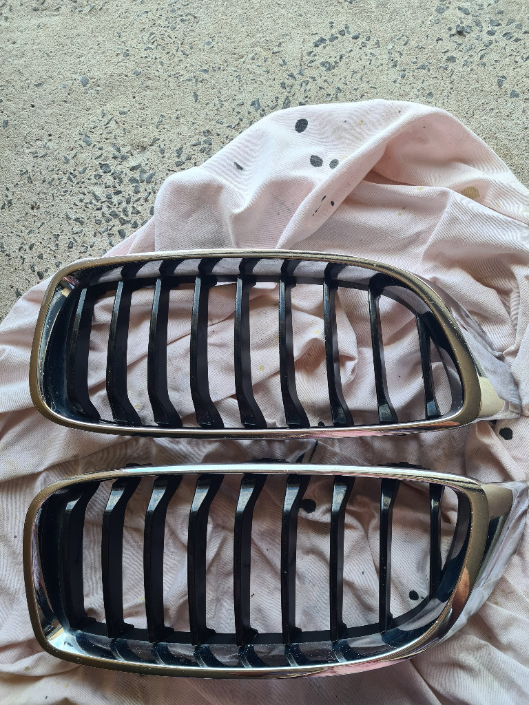 BMW kidney grilles