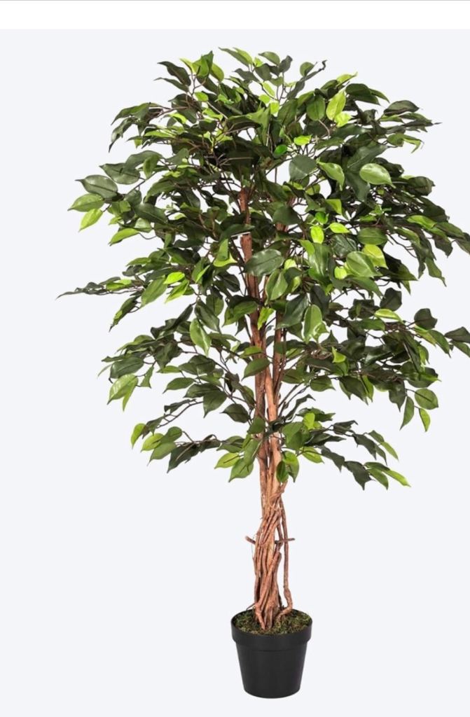 Artificial Ficus Plant