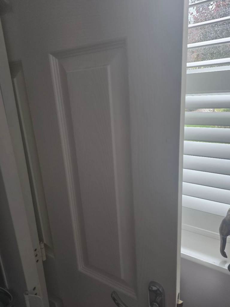 White 6 panel door wood grain 