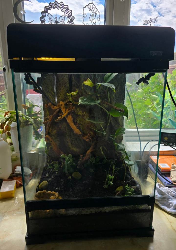 Exo Terra bioactive vivarium 