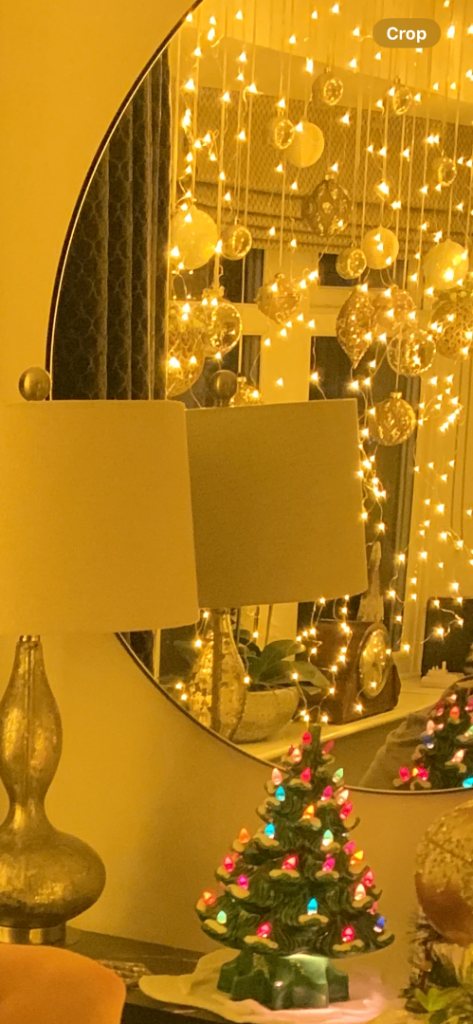 image for Christmas twinkle wire lights 