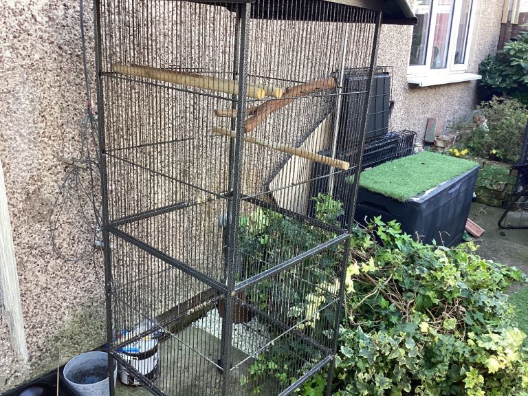 Parrot cage