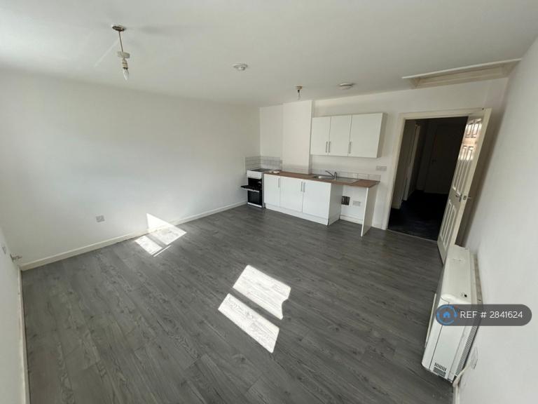 1 bedroom flat in Rudyerd Street, North Shields, NE29 (1 bed) (#2841624)