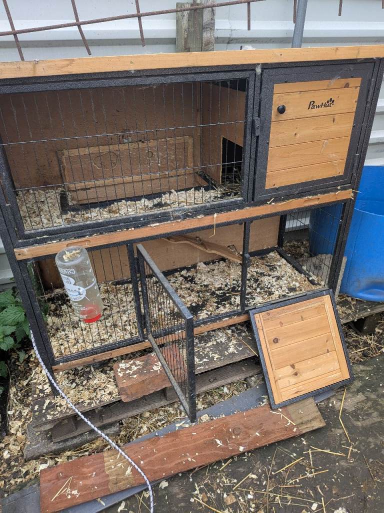 Rabbit hutch 