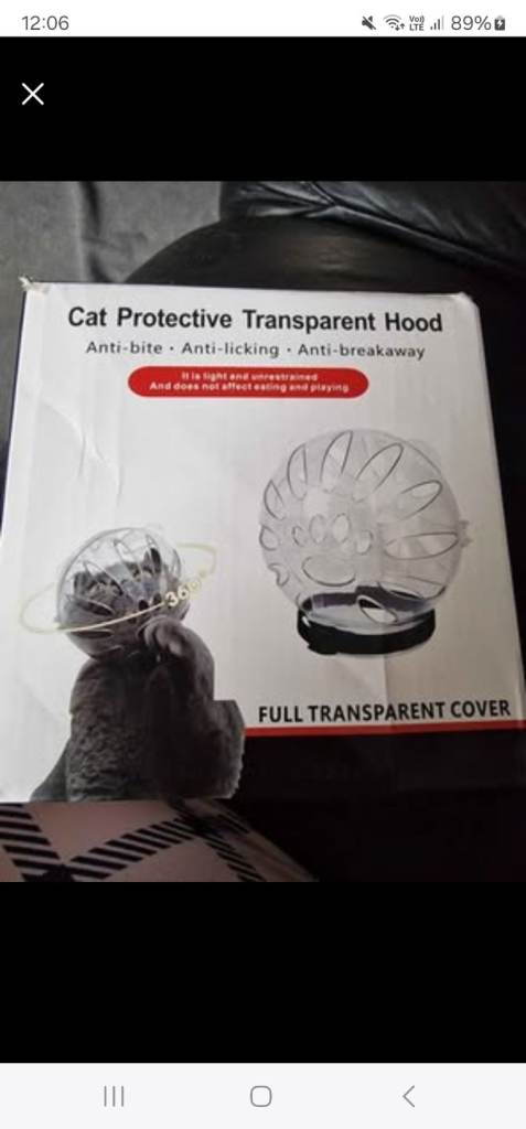 Cat protective transparent hood