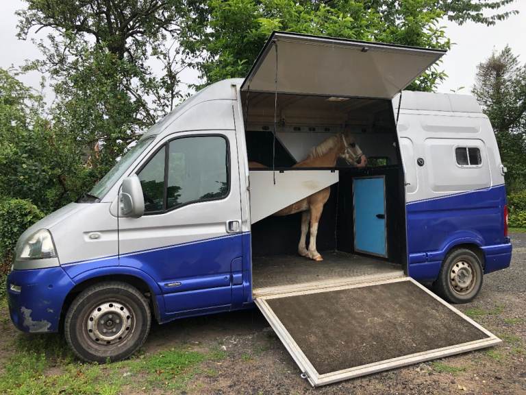 Vauxhall, MOVANO, Panel Van, 2010, Manual, 2463 (cc)