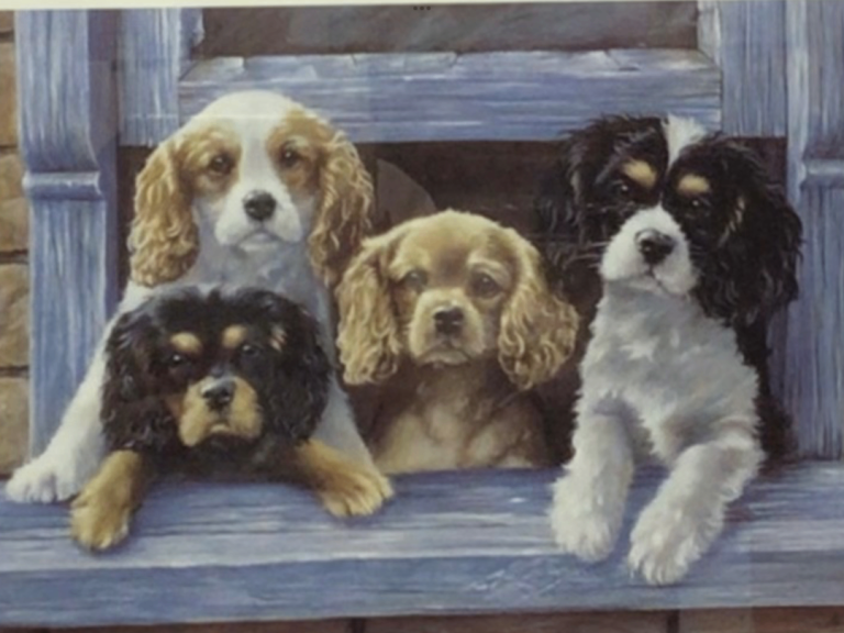 image for Paul Doyle the royal box framed print LTD 452/500 SIGNED by Paul Doyle Excellent condition.