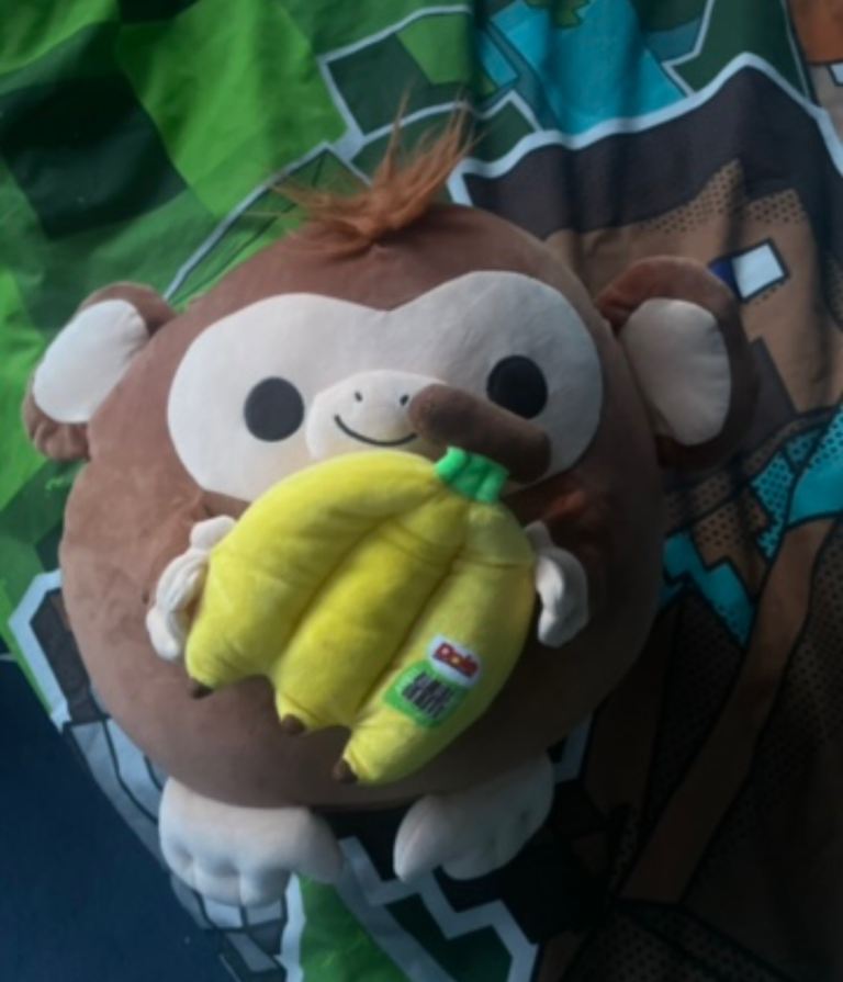 Monkey squishmallow 