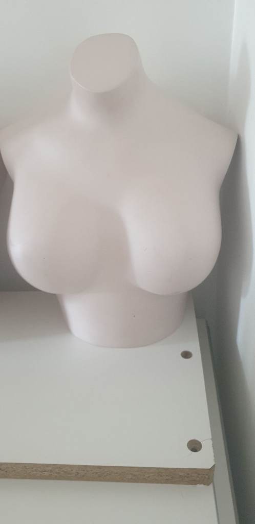 Female busts for fashion accessories display