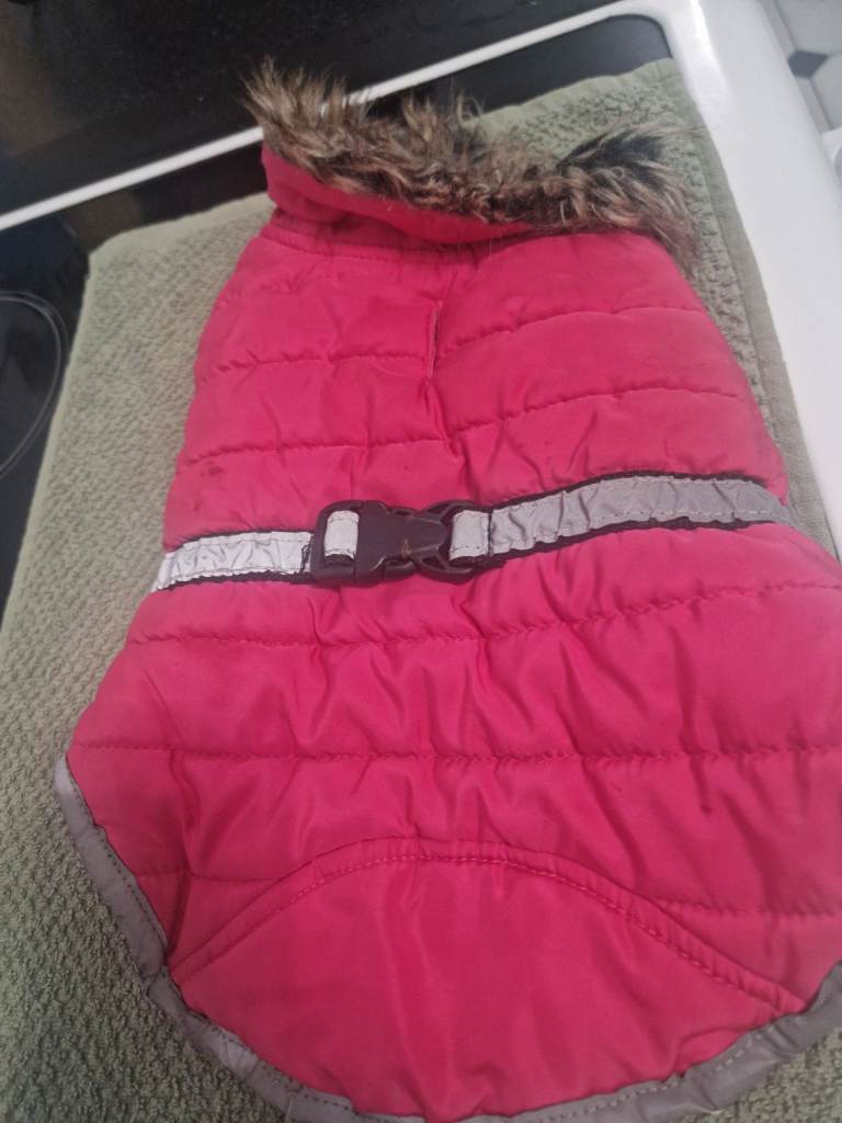 Small dog coat 