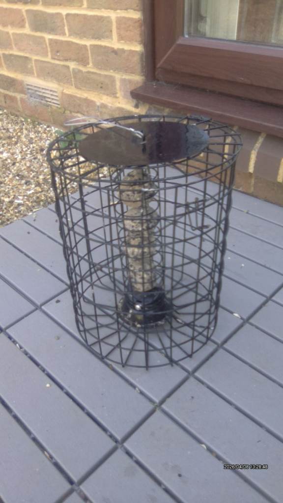 Large bird feeder 
