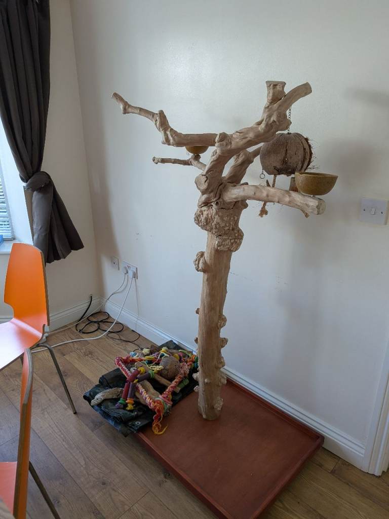 Big bird stand with extras 