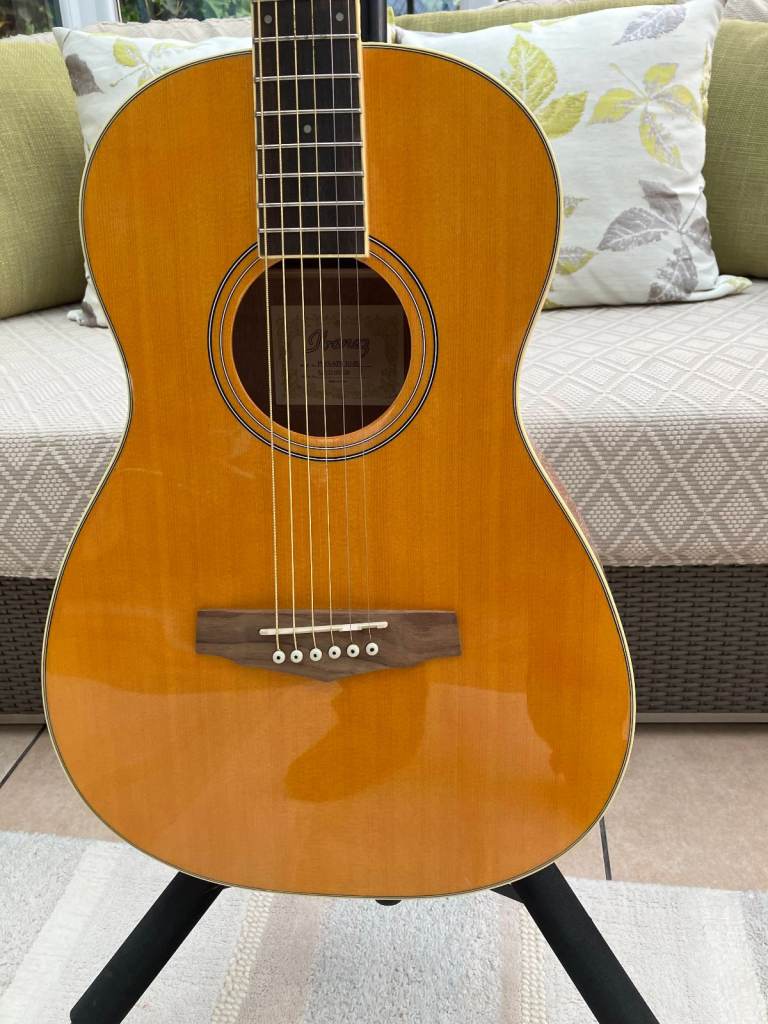 Ibanez PN15 12-Fret Parlour Acoustic
