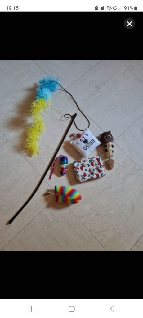 FREE bundle of kitten/ cat toys