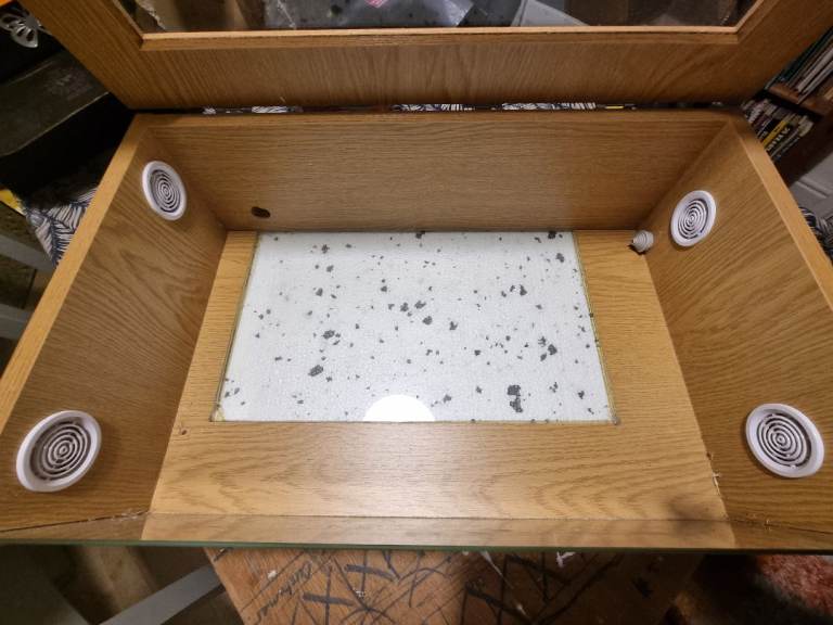 Wood and glass terrarium 