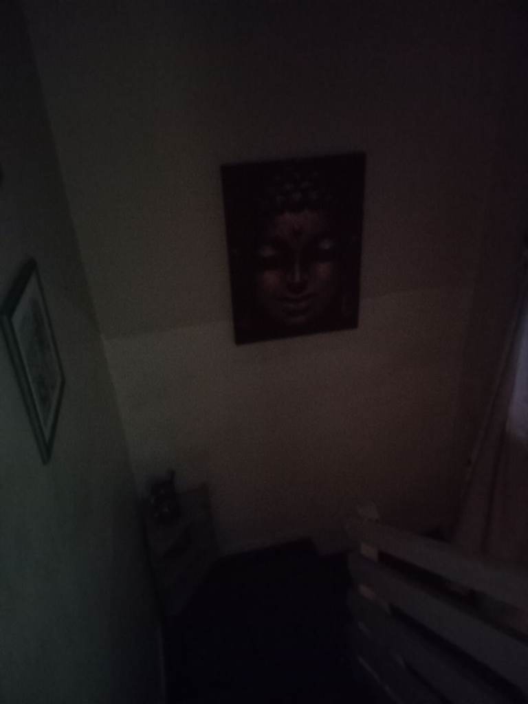 House share/single room 