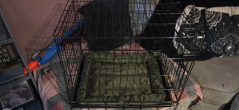 Puppy crate 