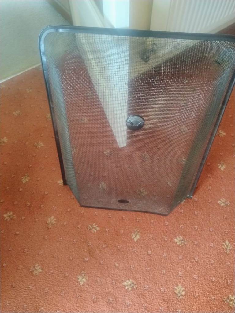 Black Metal Fire Guard Screen and cast iron gas fire front