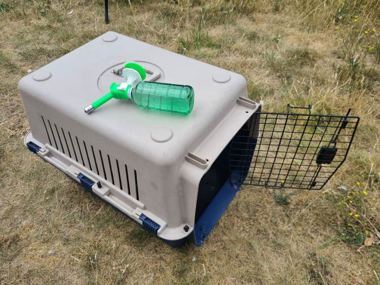 Small dog cat carrier Airline IATA Approved